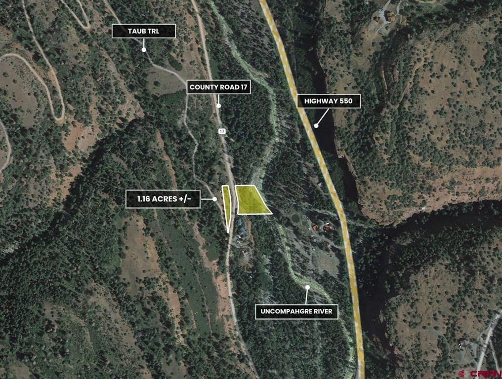 Tbd County Road 17 Ouray CO 81432