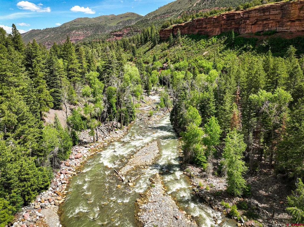 Tbd County Road 17 Ouray CO 81432