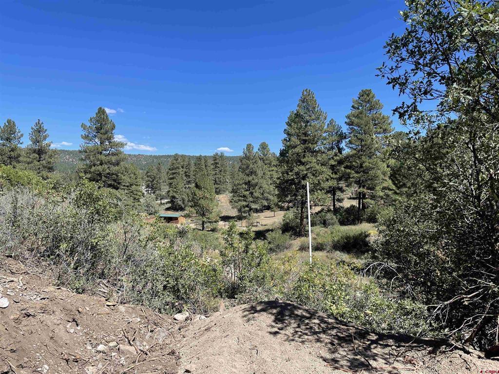141 Hollow Drive Pagosa Springs CO 81147