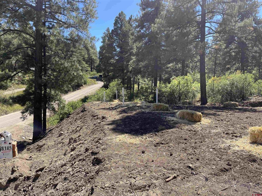 141 Hollow Drive Pagosa Springs CO 81147