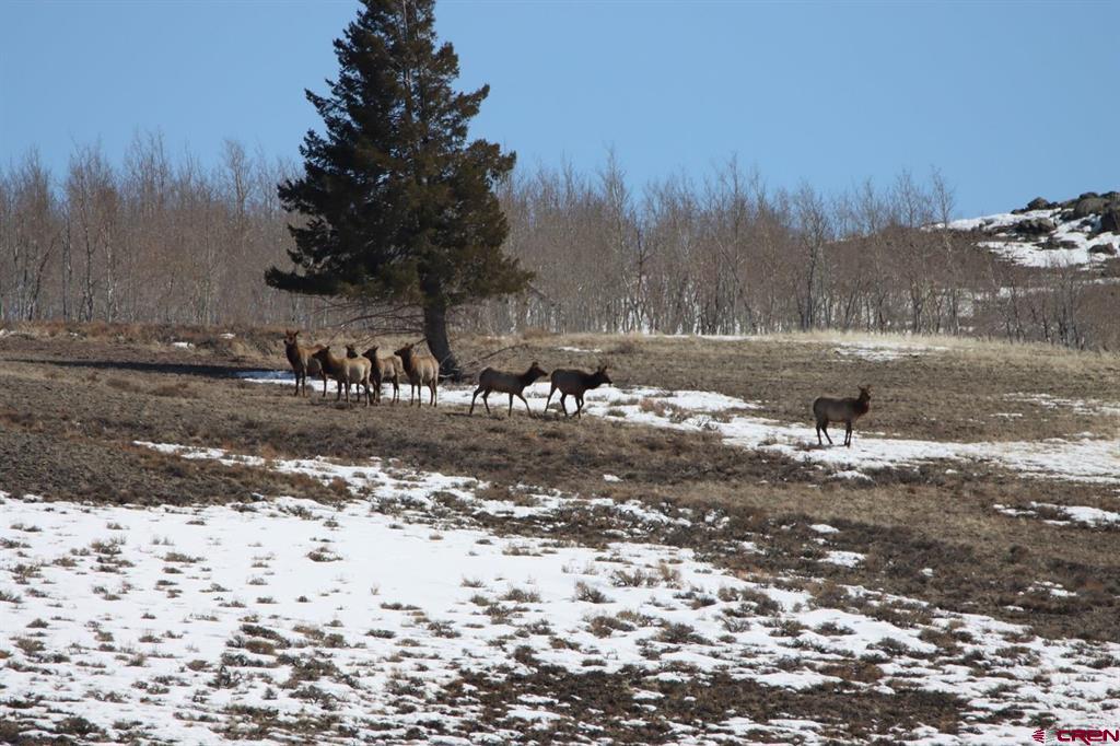 Tbd State Highway 149 Gunnison CO 81230