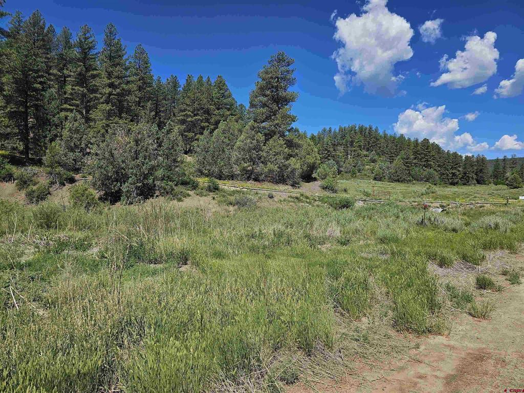 90 Badger Place Pagosa Springs CO 81147