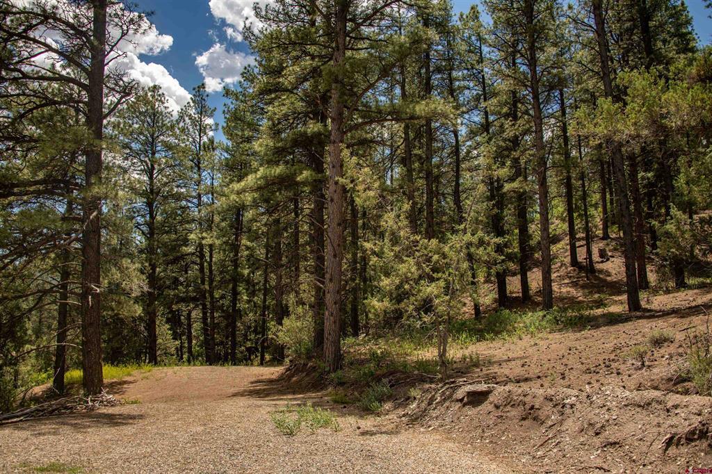 90 Badger Place Pagosa Springs CO 81147
