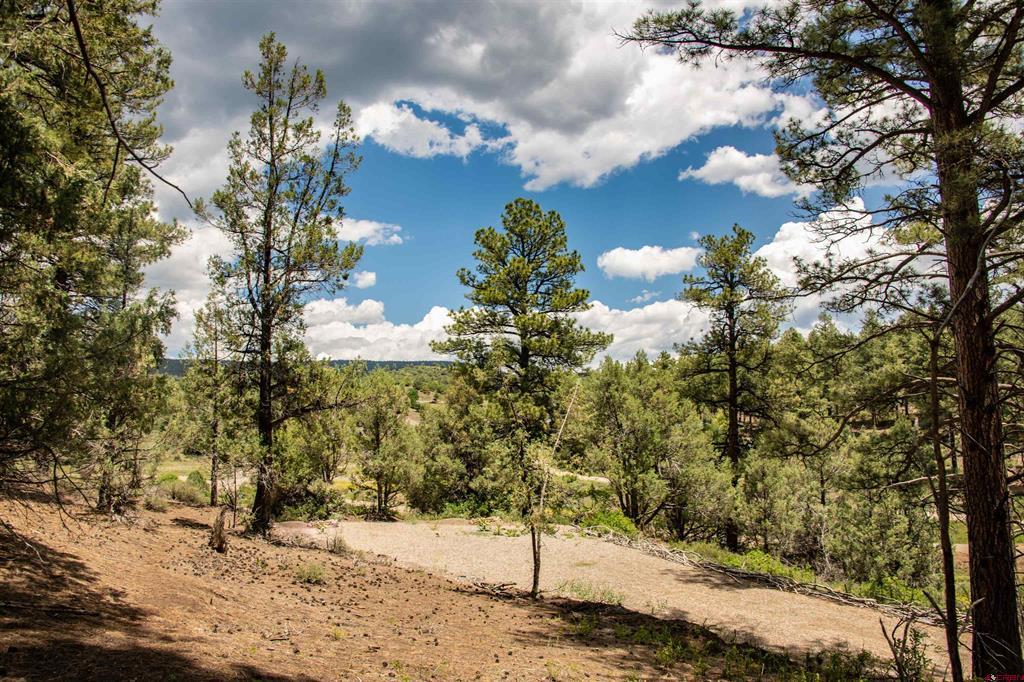90 Badger Place Pagosa Springs CO 81147