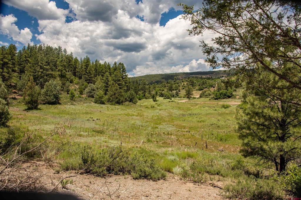 90 Badger Place Pagosa Springs CO 81147