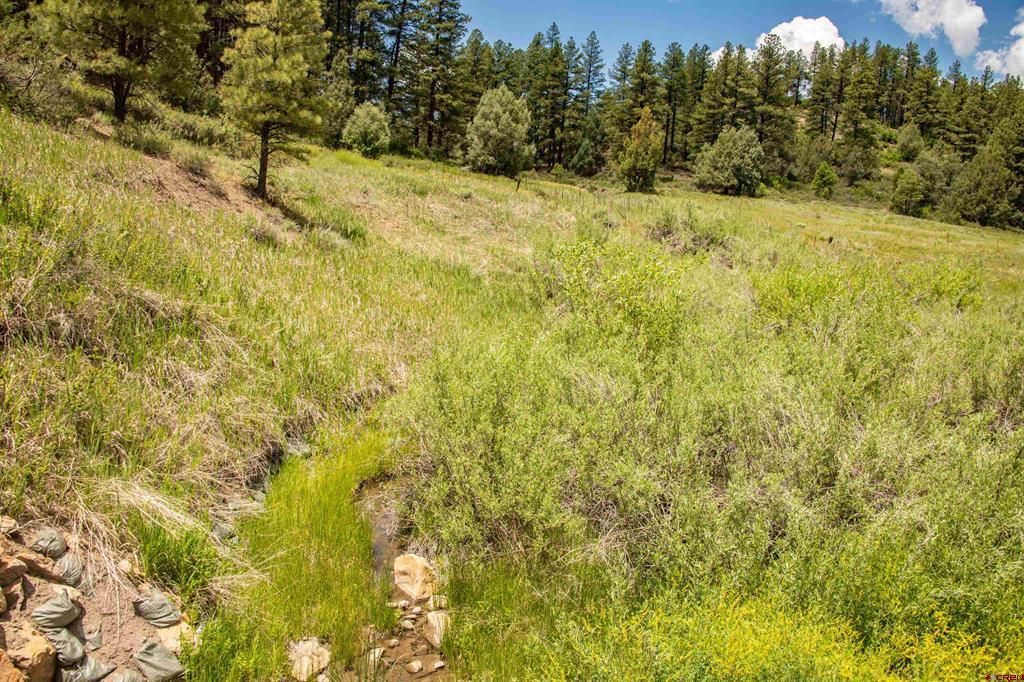 90 Badger Place Pagosa Springs CO 81147