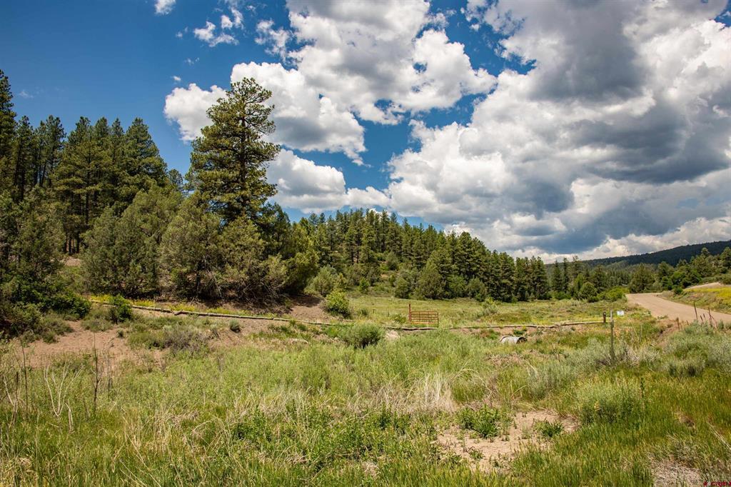 90 Badger Place Pagosa Springs CO 81147