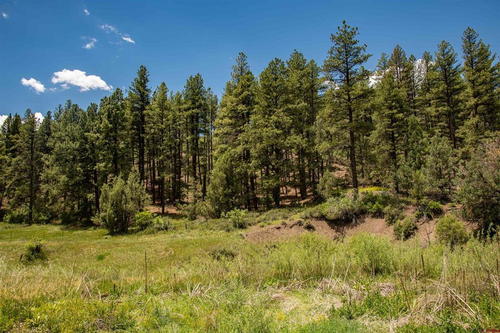 90 Badger Place Pagosa Springs CO 81147