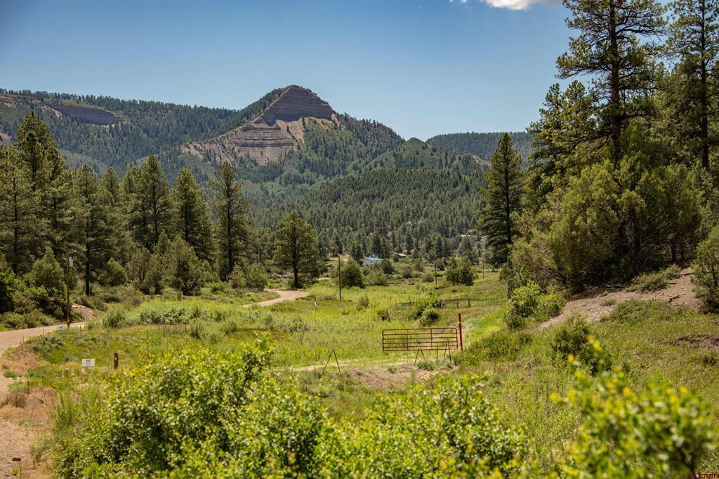 90 Badger Place Pagosa Springs CO 81147