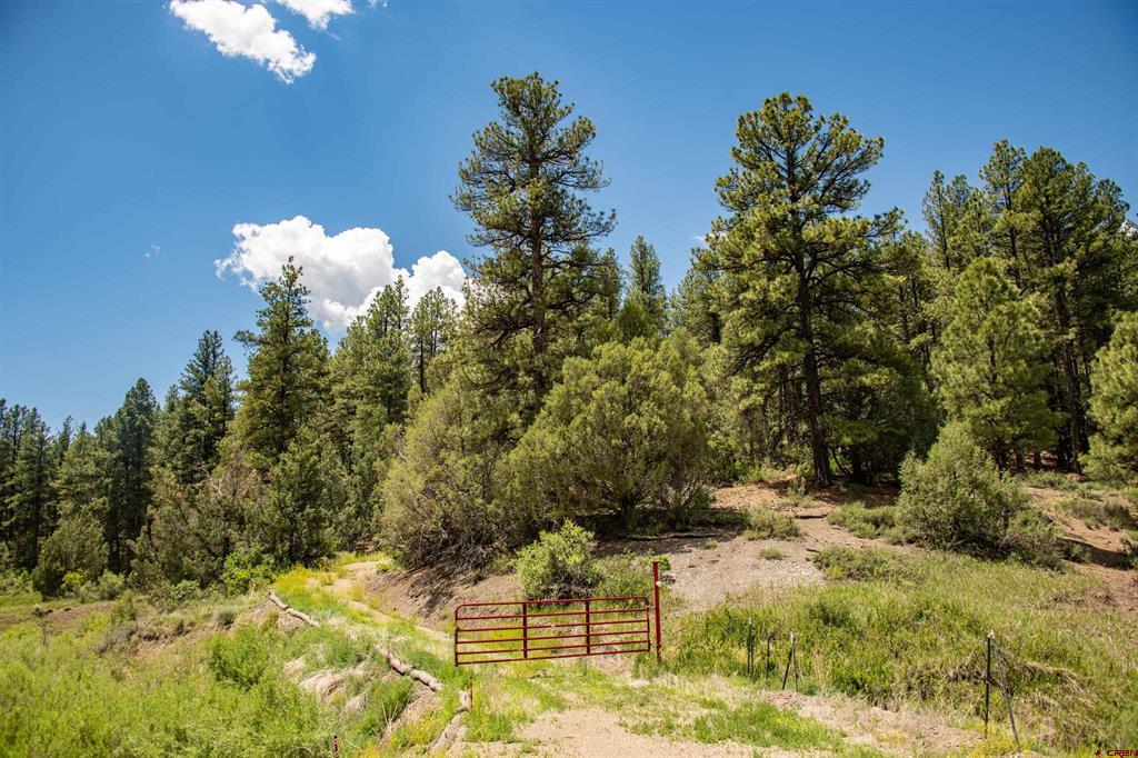 90 Badger Place Pagosa Springs CO 81147