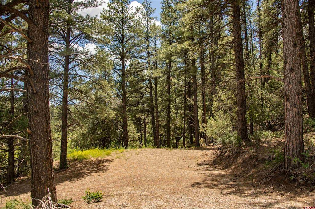 90 Badger Place Pagosa Springs CO 81147