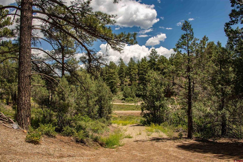 90 Badger Place Pagosa Springs CO 81147
