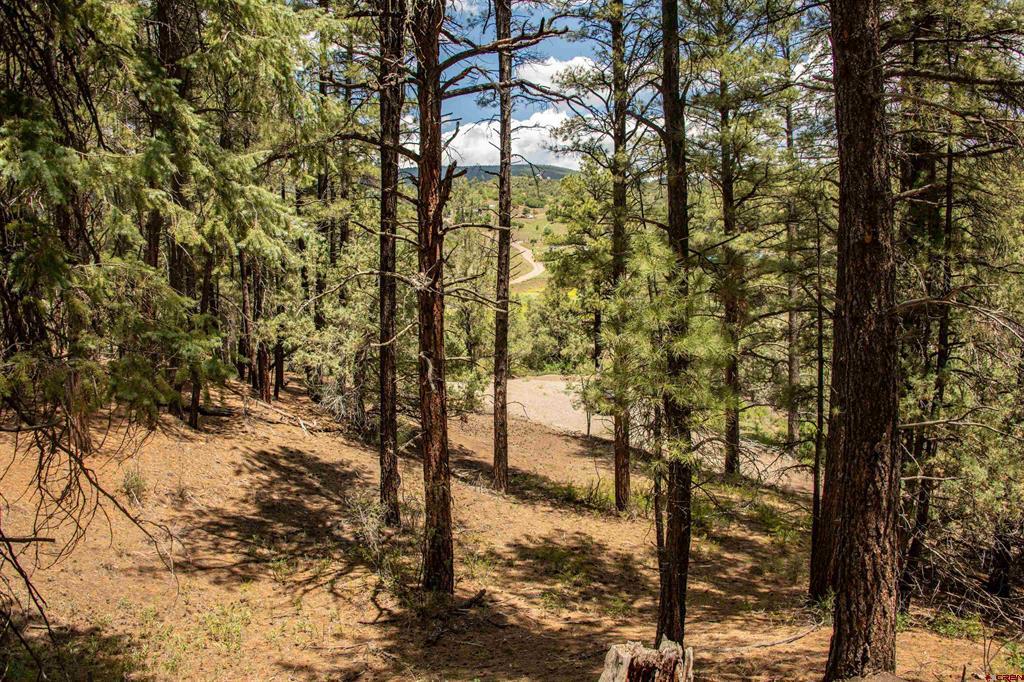 90 Badger Place Pagosa Springs CO 81147