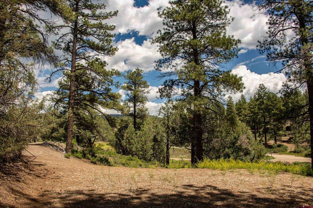 90 Badger Place Pagosa Springs CO 81147