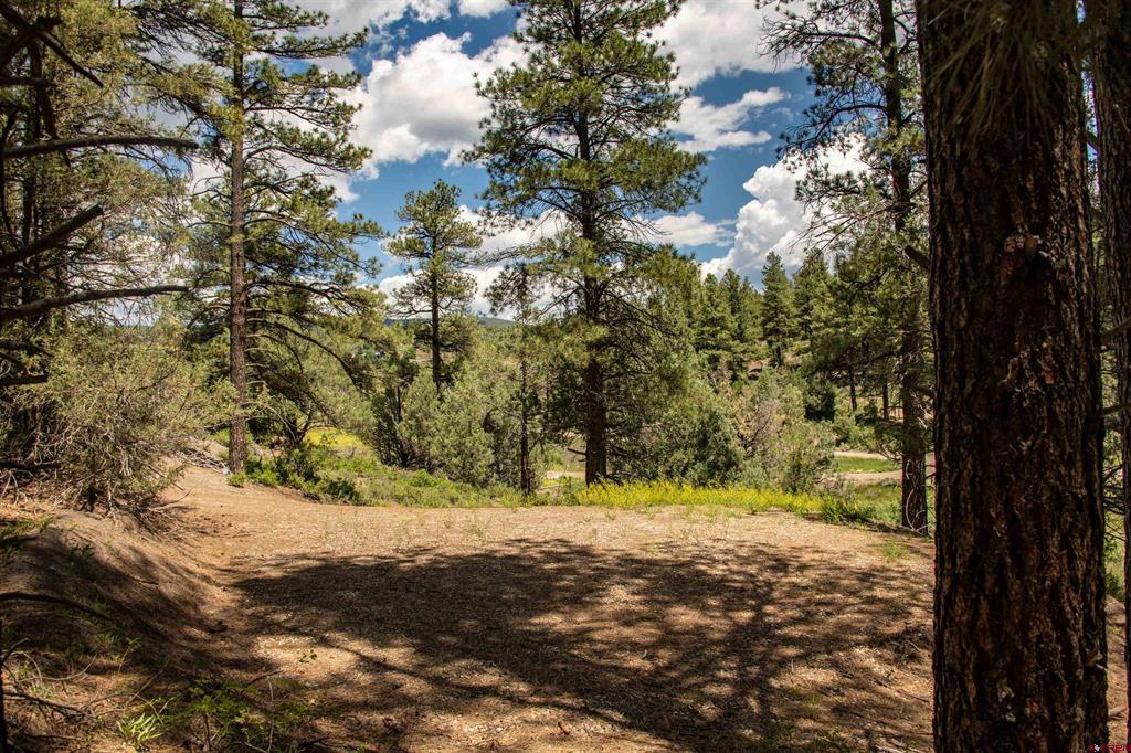 90 Badger Place Pagosa Springs CO 81147