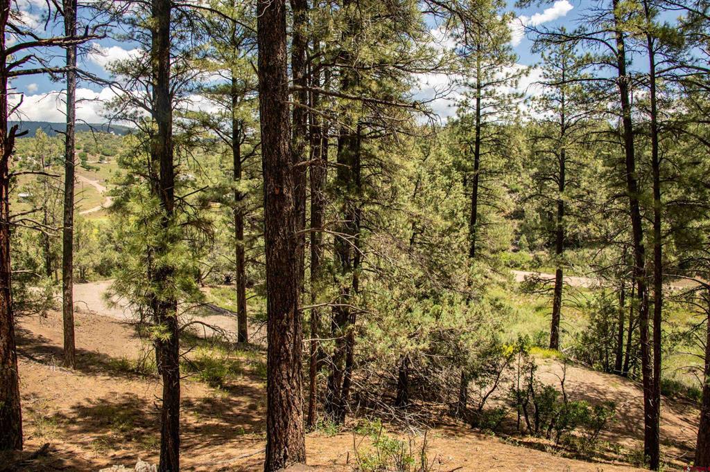 90 Badger Place Pagosa Springs CO 81147