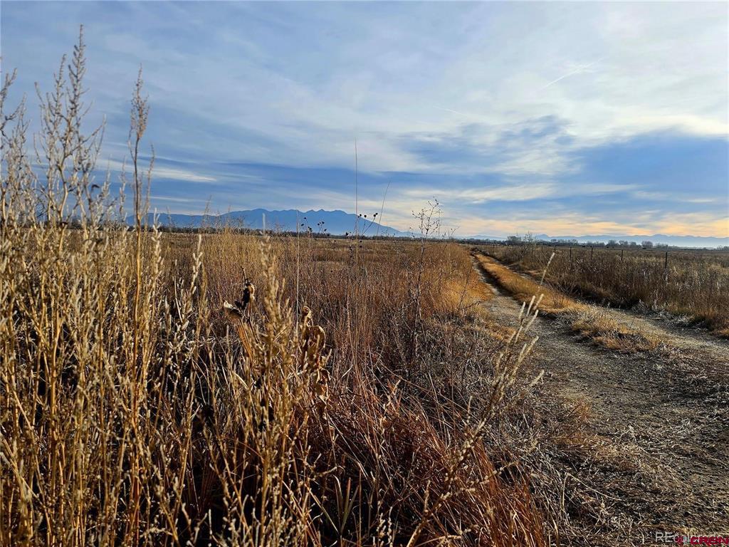 000 S 106 Road Alamosa CO 81101