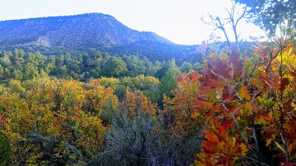 Xxx Indian Route 111 Durango CO 81303