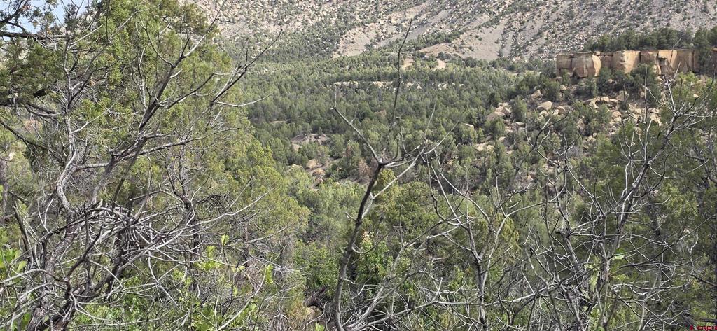 Xxx Indian Route 111 Durango CO 81303