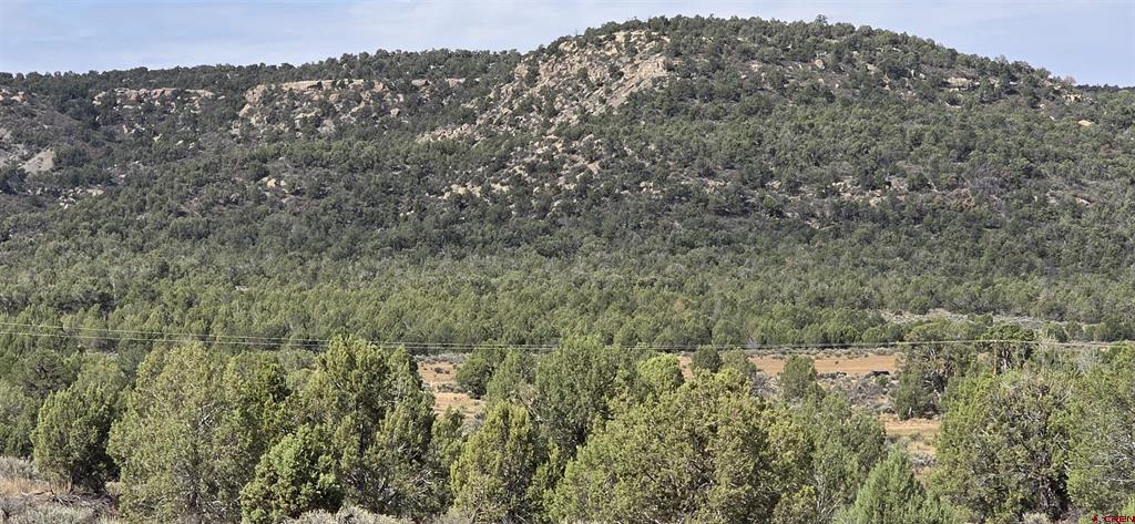 Xxx Indian Route 111 Durango CO 81303