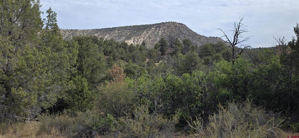 Xxx Indian Route 111 Durango CO 81303