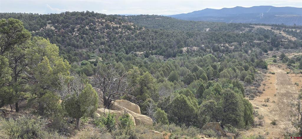Xxx Indian Route 111 Durango CO 81303