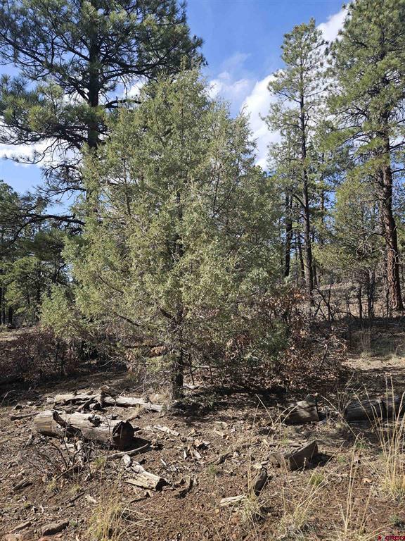 248 Rock Point Place Pagosa Springs CO 81147