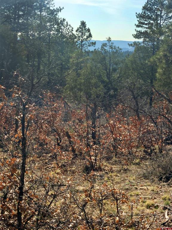 248 Rock Point Place Pagosa Springs CO 81147