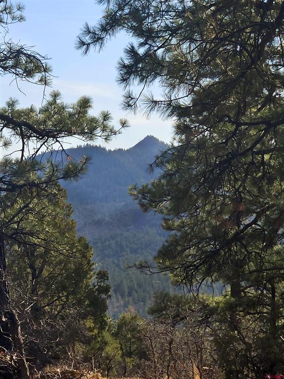 248 Rock Point Place Pagosa Springs CO 81147