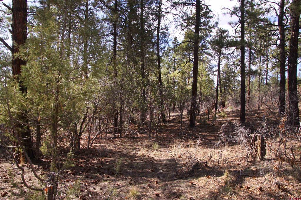 248 Rock Point Place Pagosa Springs CO 81147