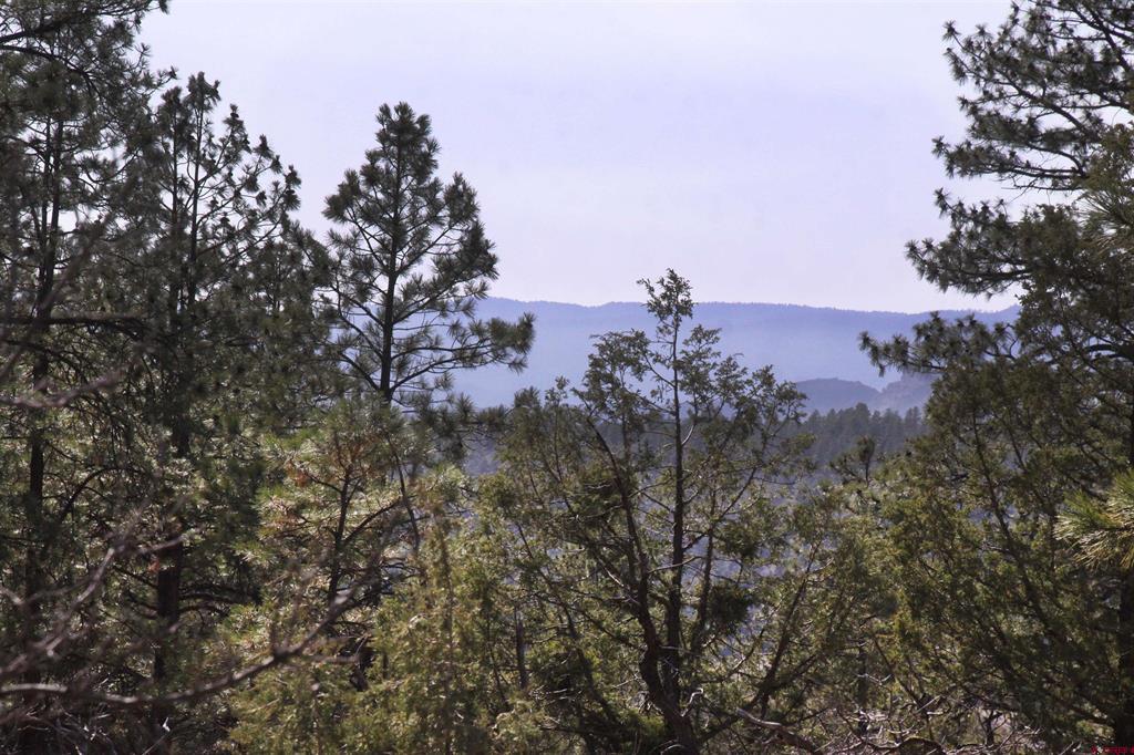 248 Rock Point Place Pagosa Springs CO 81147