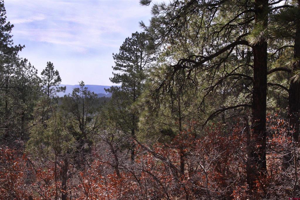 248 Rock Point Place Pagosa Springs CO 81147