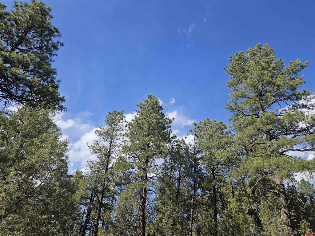 248 Rock Point Place Pagosa Springs CO 81147
