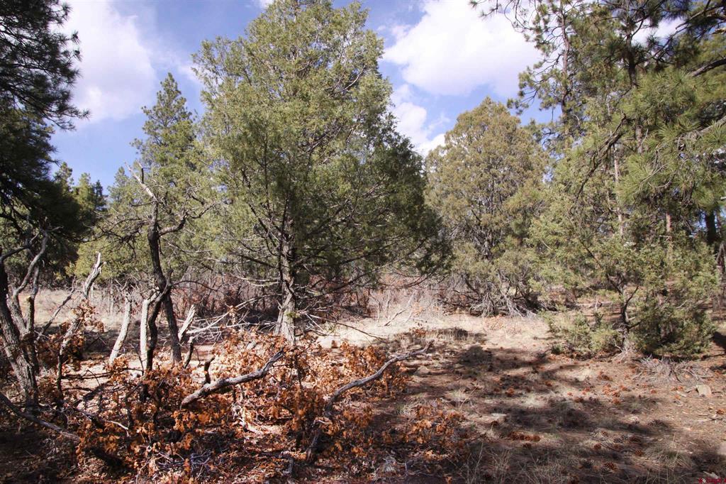 248 Rock Point Place Pagosa Springs CO 81147