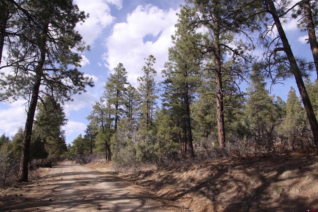 248 Rock Point Place Pagosa Springs CO 81147