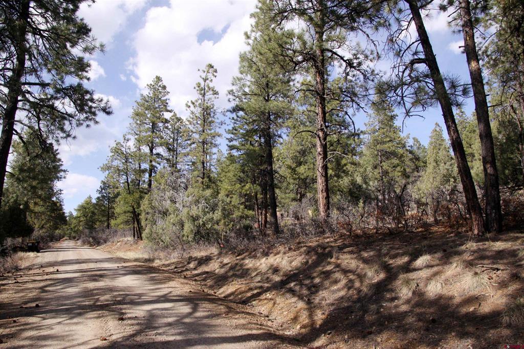 248 Rock Point Place Pagosa Springs CO 81147