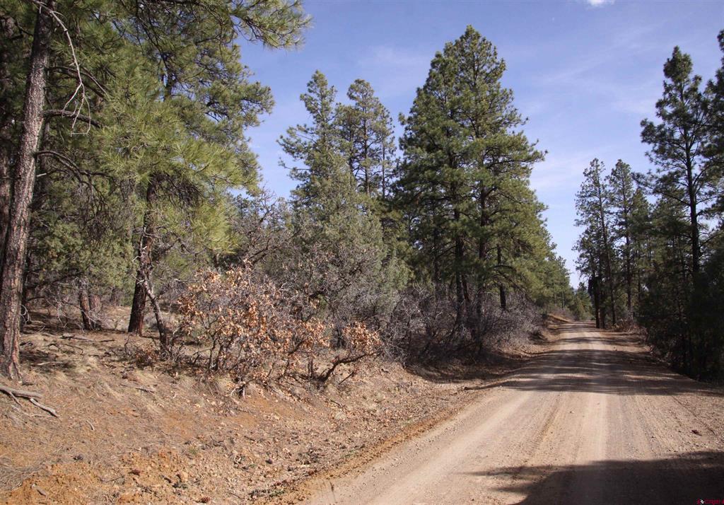 248 Rock Point Place Pagosa Springs CO 81147