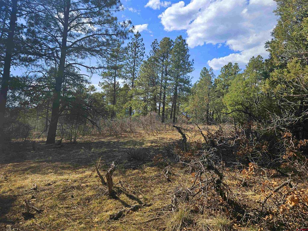248 Rock Point Place Pagosa Springs CO 81147