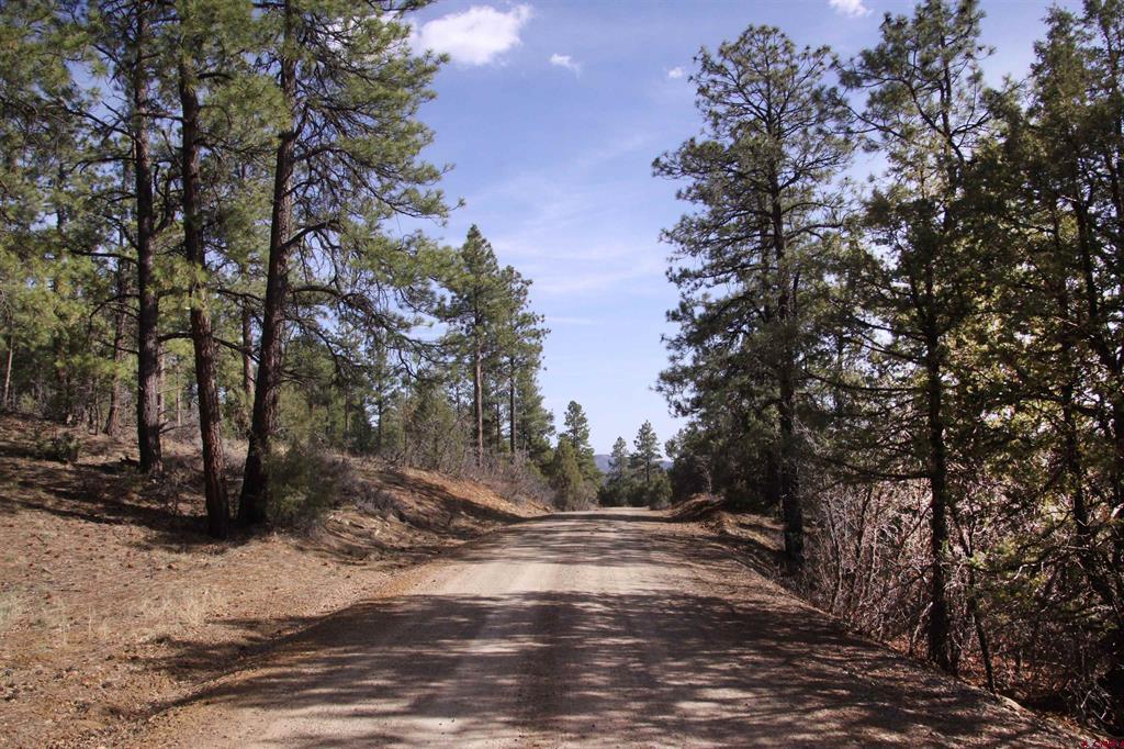 248 Rock Point Place Pagosa Springs CO 81147