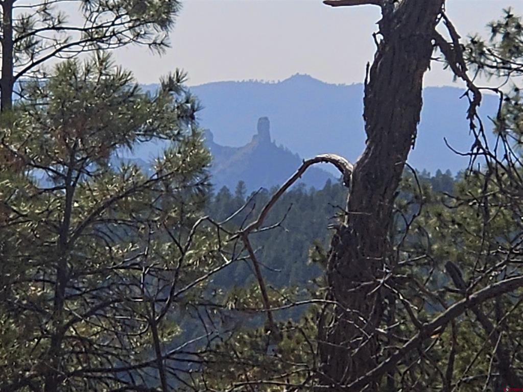 248 Rock Point Place Pagosa Springs CO 81147