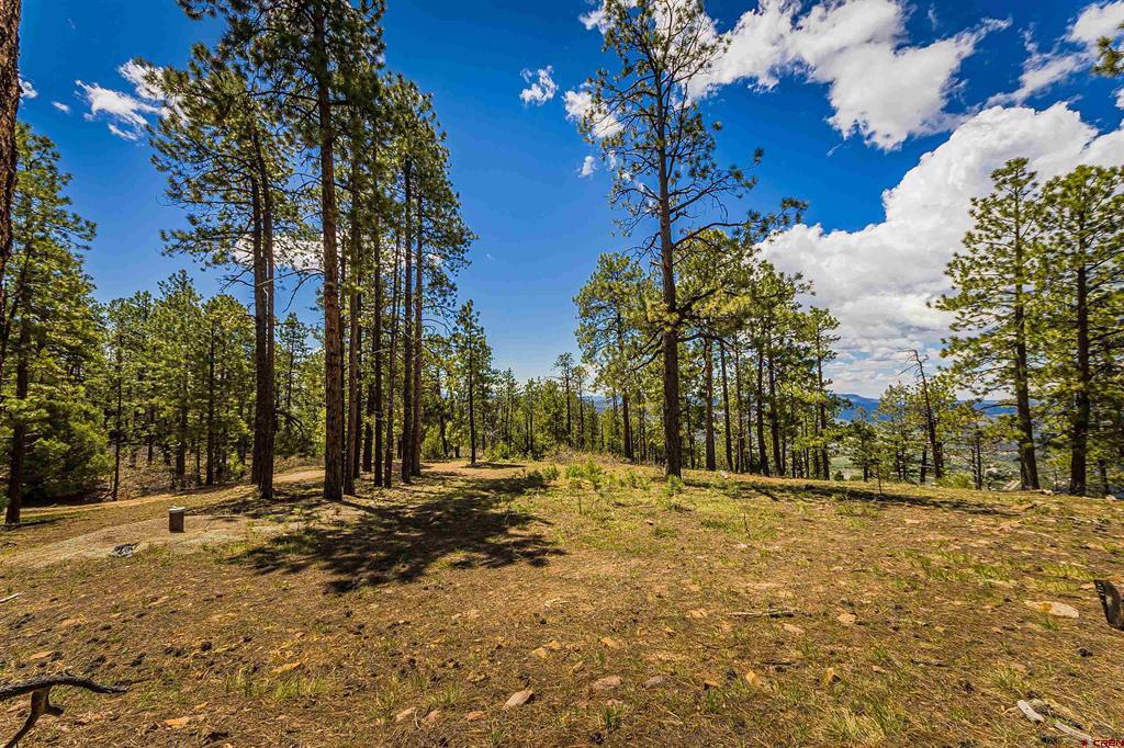 Tbd Durango Cliffs Drive Durango CO 81301