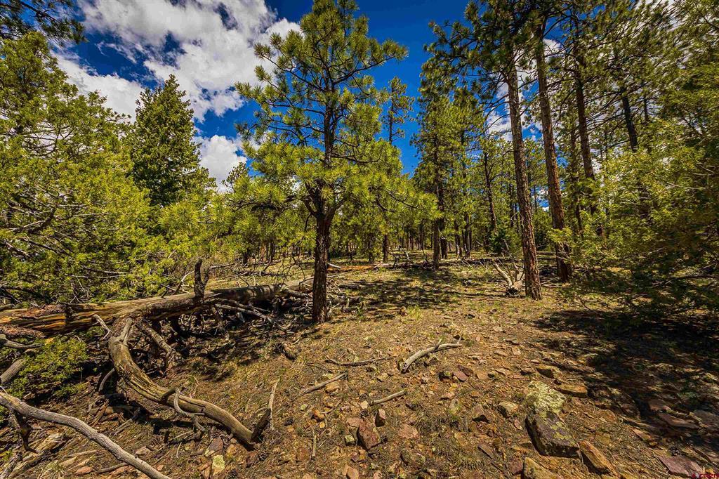 Tbd Durango Cliffs Drive Durango CO 81301