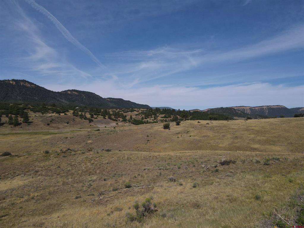 141 Spring Creek Circle Chromo CO 81128