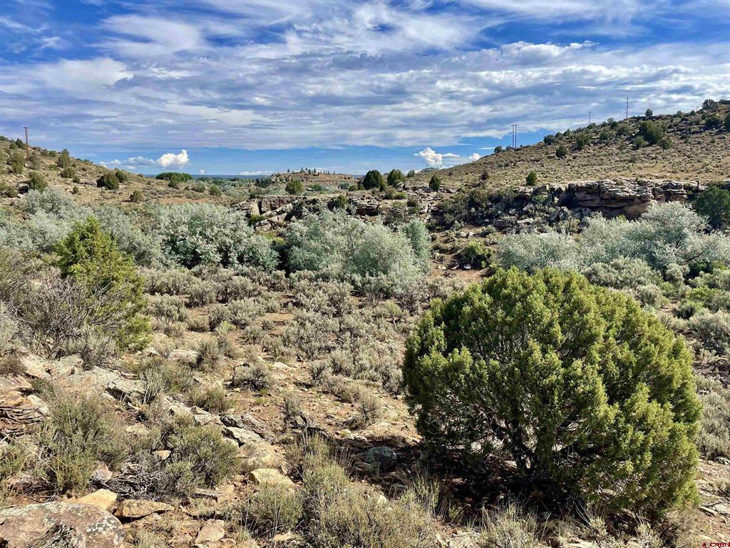Tract 12 N Broadway Cortez CO 81321