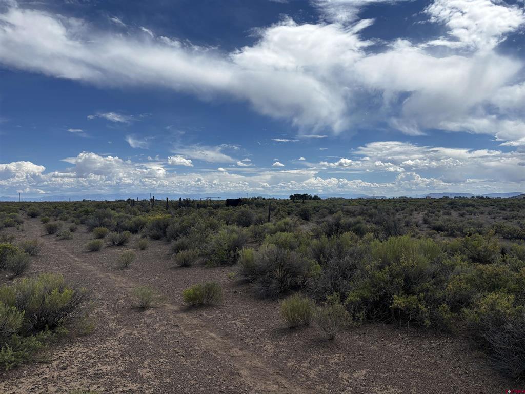 Tract 4 Bdl County Road 7 S Alamosa CO 81101