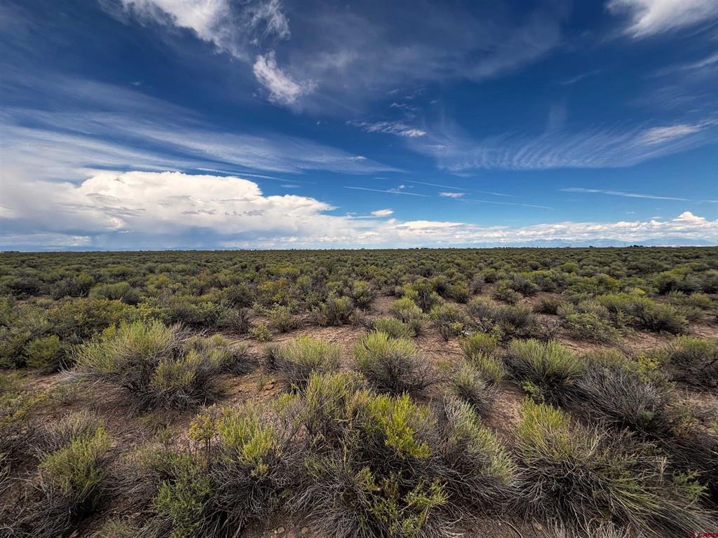 Tract 4 Bdl County Road 7 S Alamosa CO 81101