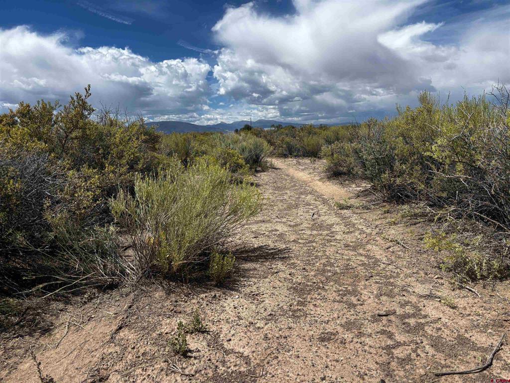 Tract 4 Bdl County Road 7 S Alamosa CO 81101