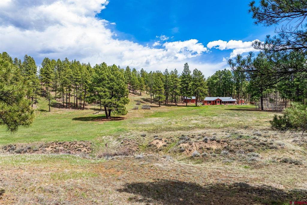 841 Beaver Creek Drive Bayfield CO 81122