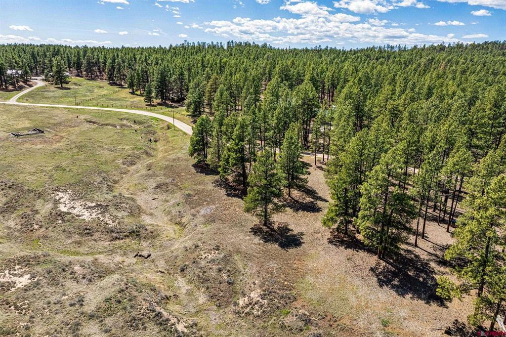 841 Beaver Creek Drive Bayfield CO 81122