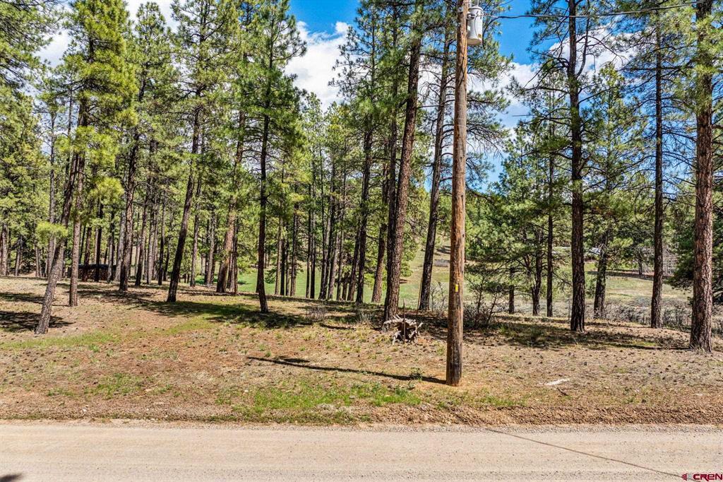 841 Beaver Creek Drive Bayfield CO 81122